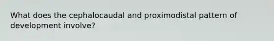 What does the cephalocaudal and proximodistal pattern of development involve?