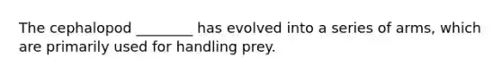 The cephalopod ________ has evolved into a series of arms, which are primarily used for handling prey.