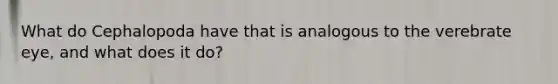 What do Cephalopoda have that is analogous to the verebrate eye, and what does it do?