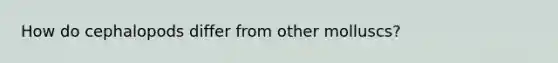 How do cephalopods differ from other molluscs?