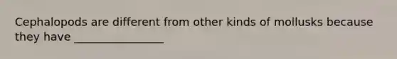 Cephalopods are different from other kinds of mollusks because they have ________________