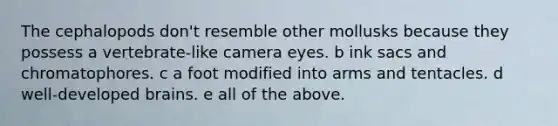 The cephalopods don't resemble other mollusks because they possess a vertebrate-like camera eyes. b ink sacs and chromatophores. c a foot modified into arms and tentacles. d well-developed brains. e all of the above.