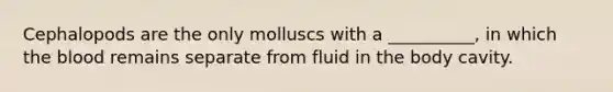 Cephalopods are the only molluscs with a __________, in which the blood remains separate from fluid in the body cavity.