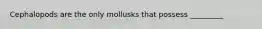 Cephalopods are the only mollusks that possess _________