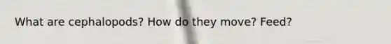 What are cephalopods? How do they move? Feed?
