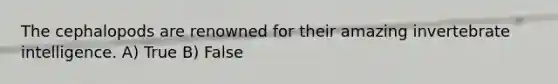 The cephalopods are renowned for their amazing invertebrate intelligence. A) True B) False
