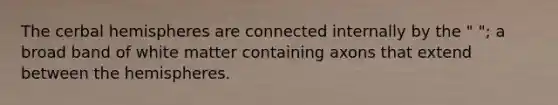 The cerbal hemispheres are connected internally by the " "; a broad band of white matter containing axons that extend between the hemispheres.