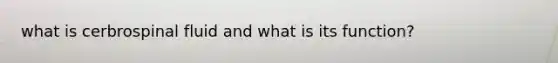 what is cerbrospinal fluid and what is its function?