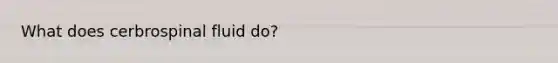 What does cerbrospinal fluid do?