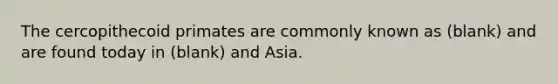 The cercopithecoid primates are commonly known as (blank) and are found today in (blank) and Asia.