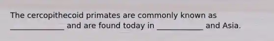 The cercopithecoid primates are commonly known as ______________ and are found today in ____________ and Asia.