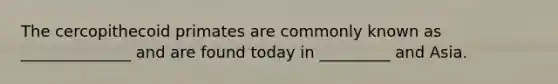 The cercopithecoid primates are commonly known as ______________ and are found today in _________ and Asia.
