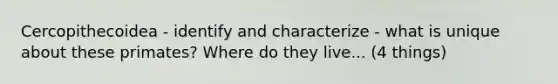 Cercopithecoidea - identify and characterize - what is unique about these primates? Where do they live... (4 things)