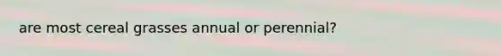 are most cereal grasses annual or perennial?