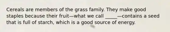 Cereals are members of the grass family. They make good staples because their fruit—what we call _____—contains a seed that is full of starch, which is a good source of energy.