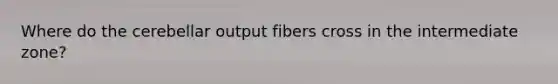 Where do the cerebellar output fibers cross in the intermediate zone?