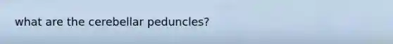 what are the cerebellar peduncles?