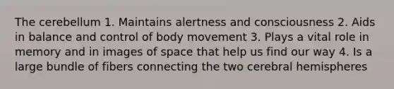 The cerebellum 1. Maintains alertness and consciousness 2. Aids in balance and control of body movement 3. Plays a vital role in memory and in images of space that help us find our way 4. Is a large bundle of fibers connecting the two cerebral hemispheres