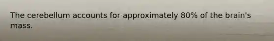 The cerebellum accounts for approximately 80% of the brain's mass.