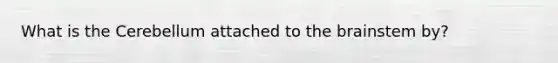What is the Cerebellum attached to the brainstem by?