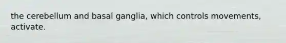 the cerebellum and basal ganglia, which controls movements, activate.