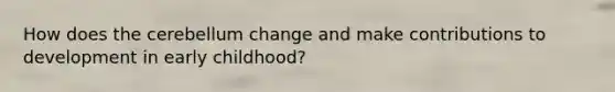 How does the cerebellum change and make contributions to development in early childhood?