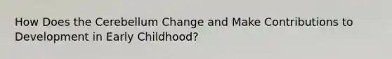 How Does the Cerebellum Change and Make Contributions to Development in Early Childhood?