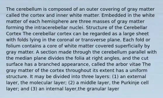 The cerebellum is composed of an outer covering of gray matter called the cortex and inner white matter. Embedded in the white matter of each hemisphere are three masses of gray matter forming the intracerebellar nuclei. Structure of the Cerebellar Cortex The cerebellar cortex can be regarded as a large sheet with folds lying in the coronal or transverse plane. Each fold or folium contains a core of white matter covered superficially by gray matter. A section made through the cerebellum parallel with the median plane divides the folia at right angles, and the cut surface has a branched appearance, called the arbor vitae The gray matter of the cortex throughout its extent has a uniform structure. It may be divided into three layers: (1) an external layer, the molecular layer; (2) a middle layer, the Purkinje cell layer; and (3) an internal layer,the granular layer