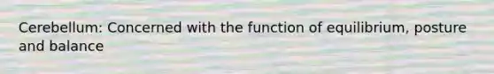 Cerebellum: Concerned with the function of equilibrium, posture and balance