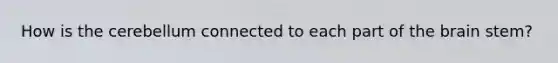 How is the cerebellum connected to each part of <a href='https://www.questionai.com/knowledge/kLMtJeqKp6-the-brain' class='anchor-knowledge'>the brain</a> stem?