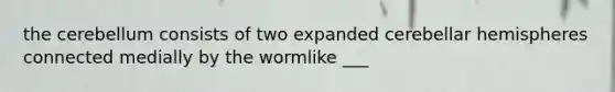 the cerebellum consists of two expanded cerebellar hemispheres connected medially by the wormlike ___