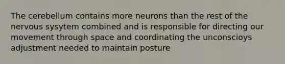 The cerebellum contains more neurons than the rest of the nervous sysytem combined and is responsible for directing our movement through space and coordinating the unconscioys adjustment needed to maintain posture