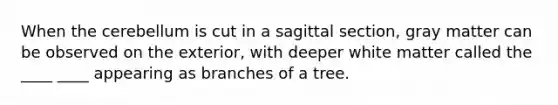 When the cerebellum is cut in a sagittal section, gray matter can be observed on the exterior, with deeper white matter called the ____ ____ appearing as branches of a tree.