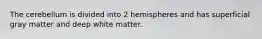 The cerebellum is divided into 2 hemispheres and has superficial gray matter and deep white matter.