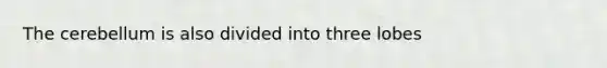 The cerebellum is also divided into three lobes