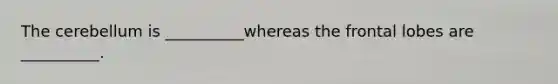 The cerebellum is __________whereas the frontal lobes are __________.