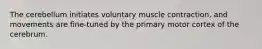 The cerebellum initiates voluntary muscle contraction, and movements are fine-tuned by the primary motor cortex of the cerebrum.