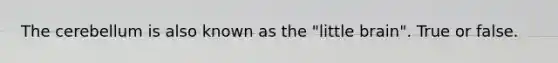The cerebellum is also known as the "little brain". True or false.