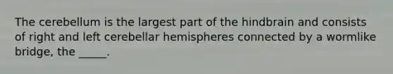 The cerebellum is the largest part of the hindbrain and consists of right and left cerebellar hemispheres connected by a wormlike bridge, the _____.