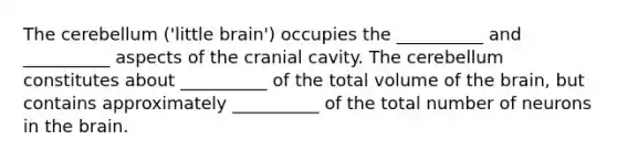 The cerebellum ('little brain') occupies the __________ and __________ aspects of the cranial cavity. The cerebellum constitutes about __________ of the total volume of the brain, but contains approximately __________ of the total number of neurons in the brain.