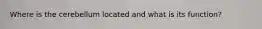 Where is the cerebellum located and what is its function?