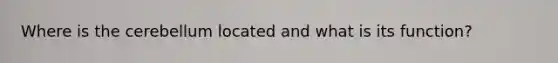 Where is the cerebellum located and what is its function?
