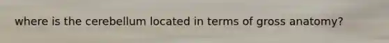 where is the cerebellum located in terms of gross anatomy?