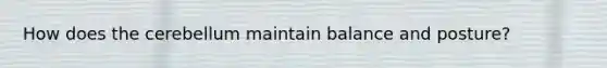 How does the cerebellum maintain balance and posture?