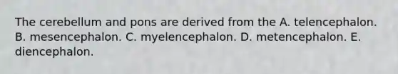 The cerebellum and pons are derived from the A. telencephalon. B. mesencephalon. C. myelencephalon. D. metencephalon. E. diencephalon.