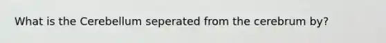 What is the Cerebellum seperated from the cerebrum by?