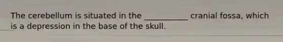 The cerebellum is situated in the ___________ cranial fossa, which is a depression in the base of the skull.