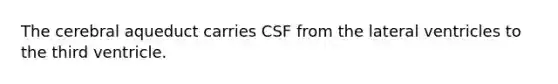 The cerebral aqueduct carries CSF from the lateral ventricles to the third ventricle.