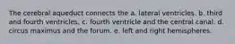 The cerebral aqueduct connects the a. lateral ventricles. b. third and fourth ventricles. c. fourth ventricle and the central canal. d. circus maximus and the forum. e. left and right hemispheres.