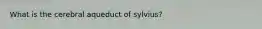 What is the cerebral aqueduct of sylvius?